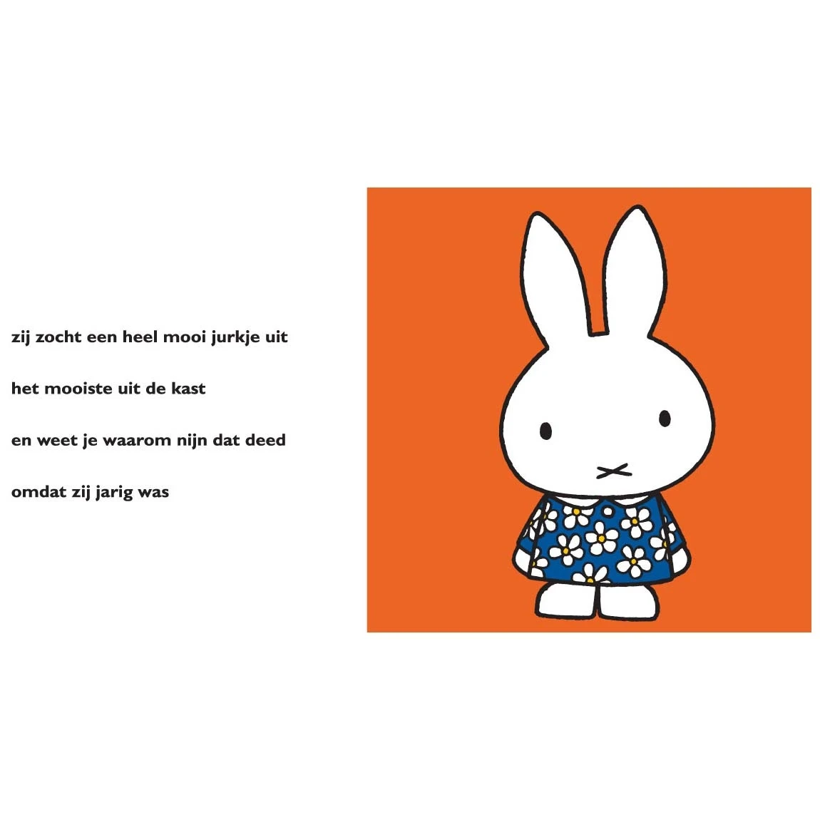 Nijntjes Voorleesfeest Multi 2 Nijntjes Voorleesfeest Multi - Afbeelding 2